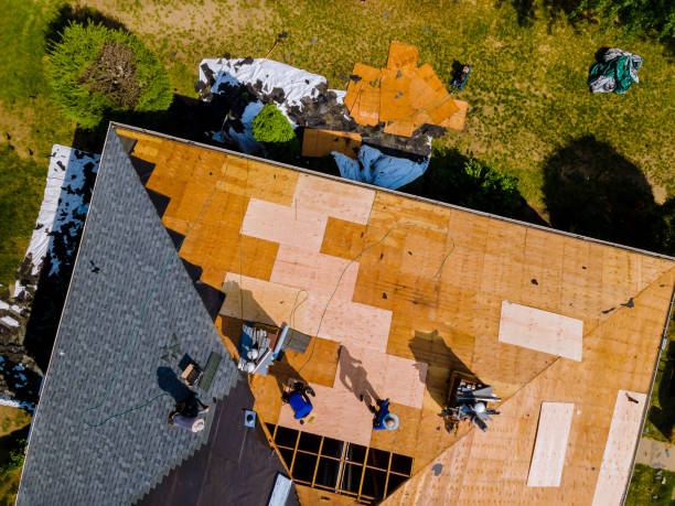 Best Flat Roof Repair Services  in Marion, WI